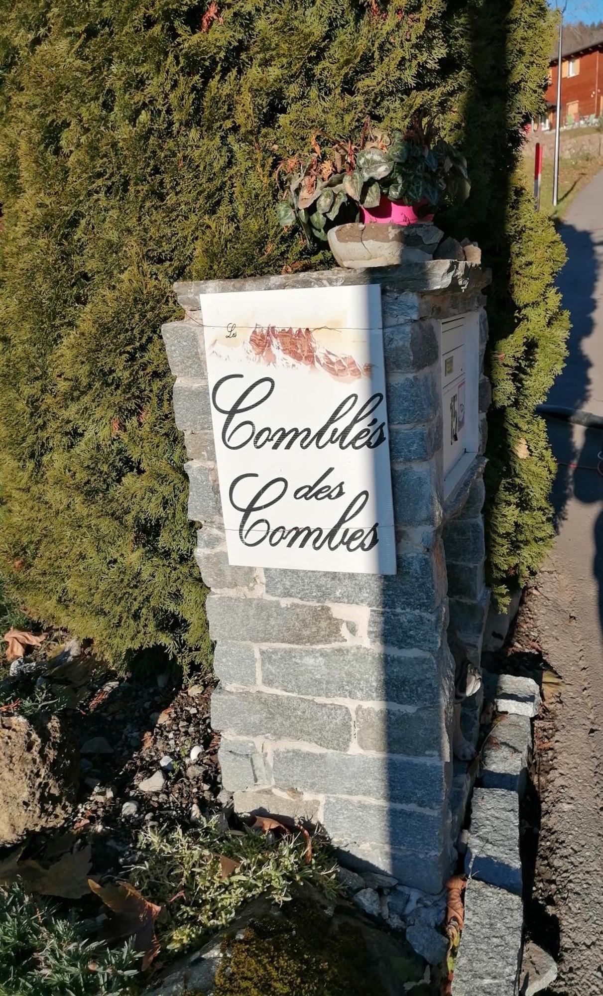 Hotel Les Combles Des Combes Ollon Esterno foto